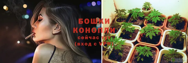 Бошки марихуана THC 21%  это формула  Красноуфимск 